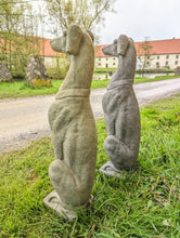 Lade das Bild in den Galerie-Viewer, Vornehme und edle Greyhound-Statue - HANDMADE aus Steinguss, naturton (frostfest bis -30 Grad)
