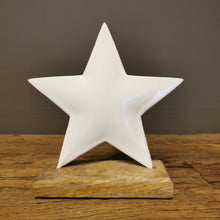 Lade das Bild in den Galerie-Viewer, Dezent glänzender Stern aus Metall weißcremefarben in drei Größen auf Holzfuß
