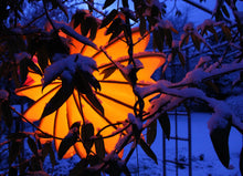 Lade das Bild in den Galerie-Viewer, Barlooon Lampion im Baum mit Schnee und mit Beleuchtung in orange Alrabi
