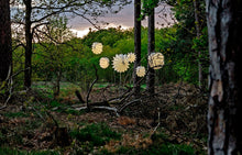 Lade das Bild in den Galerie-Viewer, Barlooons creme Lampions im Wald am Edelstahlstab mit Beleuchtung
