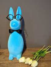 Lade das Bild in den Galerie-Viewer, Großer fröhlicher Hase in türkisblau mit Brille und Fliege

